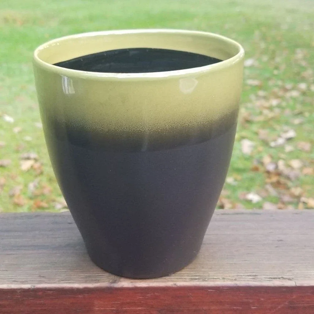 Orchid / Plant Holder- ABOUT 5.5